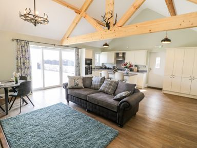 An open plan living room and kitchen with wooden beams and a sofa at Stag Cottage at Broadings Farm in Whitby