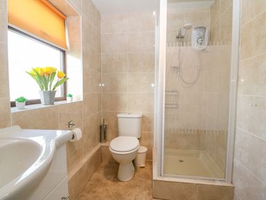 A bathroom with a toilet sink and shower with flowers on the window sill at Rhiangwyn in Llanrhyddlad near Cemaes Bay