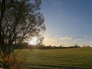 A field with grass and trees under a clear sky with the sun shining through the branches at Box Tree Escapes in Wennington near Kirkby Lonsdale