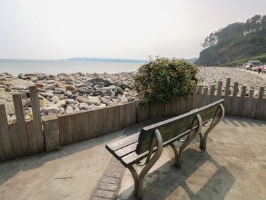 A bench on a paved area overlooking a rocky beach with a wooden fence and shrub nearby at Oakland Cottage in Summerhill near Saundersfoot