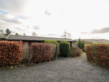 A gravel driveway with hedges and bushes leading to a single-story building at Valley View in Rhayader