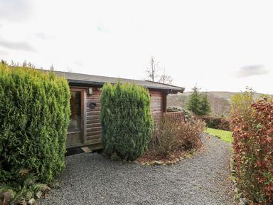 A gravel path leading to a wooden cabin surrounded by green and brown shrubs and trees at Valley View in Rhayader