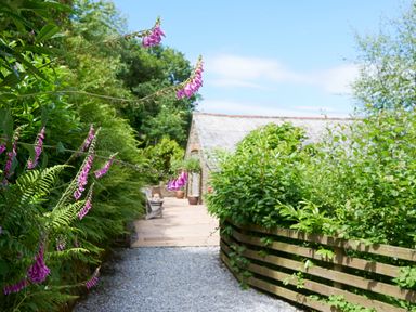 A garden pathway with purple flowers and greenery leading to a patio with chairs at Garden House in Cornworthy