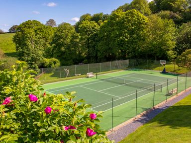 An outdoor sports court with tennis and basketball equipment surrounded by trees at Haytor Cottage in Cornworthy