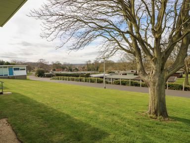 A grassy area with a large tree and buildings in the background at Pebbles in Cromer