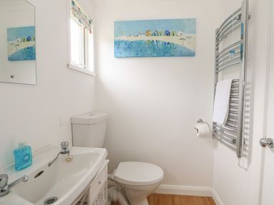 A bathroom with a toilet sink mirror towel rack and a painting at Pebbles in Cromer