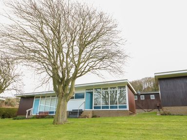 A single-story house with large windows a tree in front and green grass at Pebbles in Cromer