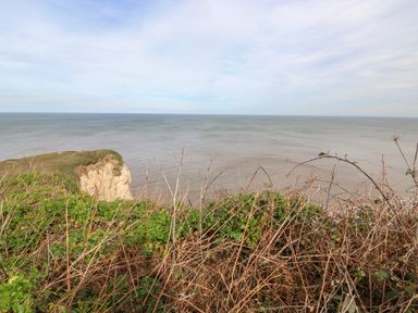 A coastal cliff with green and brown vegetation overlooking the sea at Pebbles in Cromer