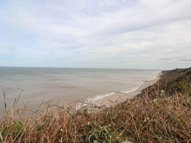 A view of the coastline with the sea and beach seen from a cliff with dry bushes at Pebbles in Cromer