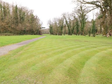 A mowed grassy area with a dirt path and trees at Jules @ 79 in Stepaside