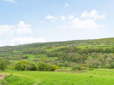 A landscape of green fields trees and hills with a clear sky and two chickens in the foreground at Meadowsweet in Goathland