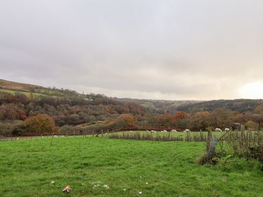 A green field with sheep grazing and wooded hills in the background at Meadowsweet in Goathland