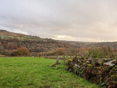 A grassy field with a stone wall and a view of trees and hills in the distance at Meadowsweet in Goathland