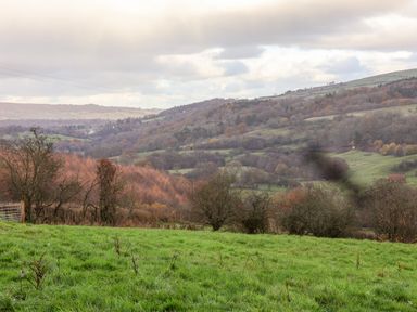 A landscape with green grass in the foreground and rolling hills with trees in the background at Meadowsweet in Goathland