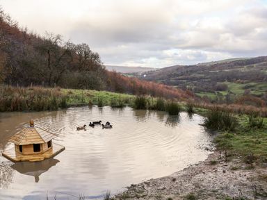 A small pond with ducks and a wooden duck house surrounded by grassy hills and trees at Meadowsweet in Goathland