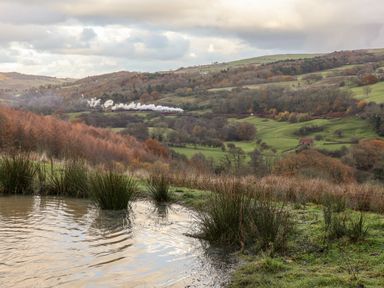 A rural landscape with grassy hills a small pond with reeds and a steam train in the distance at Meadowsweet in Goathland