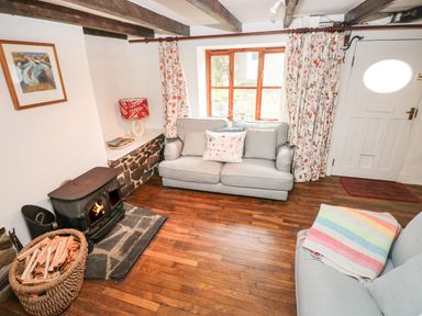 A living room with a wood stove fire a basket of firewood two sofas wood floors and a window at Pant y FFynnon in St Davids