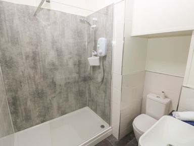 A bathroom with a shower area, toilet, and a sink at Pant y FFynnon in St Davids