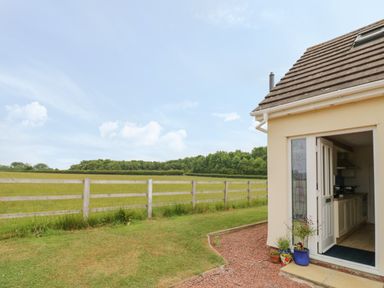 A backyard with a wooden fence and grass next to a house with an open door and potted plants outside at Buttercups at Midway in Kington