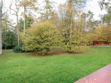 A grassy area with trees and a wooden cabin in the background at Great Leap in Louth