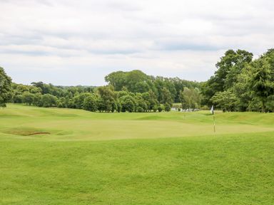A golf course with a putting green and flag surrounded by trees at Great Leap in Louth