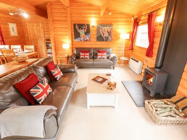 A living room with brown leather sofas having Union Jack cushions a wood stove and wooden walls at Great Leap in Louth