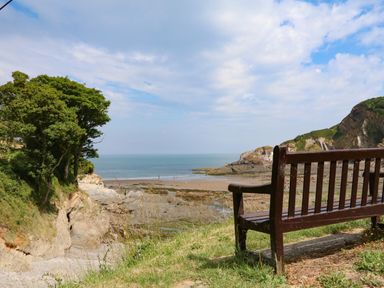 A bench on grass overlooking a rocky beach and sea at The Coach House The Grove in Combe Martin