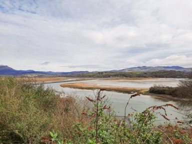 A river with vegetation in the foreground hills in the distance and a cloudy sky at Emerald Suite in Barmouth