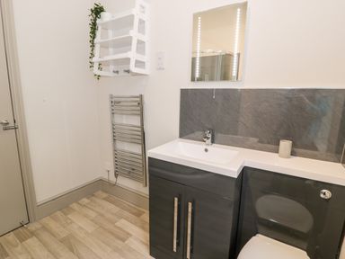 A bathroom with a sink and cabinet a towel rack a mirror and a small white shelf with a plant at Emerald Suite in Barmouth