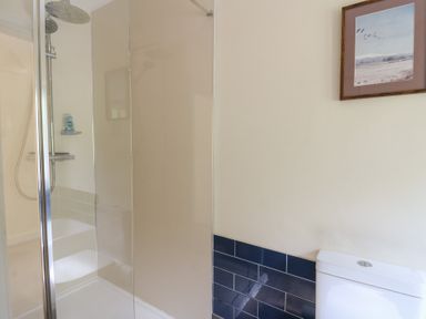 A bathroom with a shower enclosure tiled in blue and a framed picture on the wall at Glyn Yr Efail in Moylegrove nr Newport and Cardigan