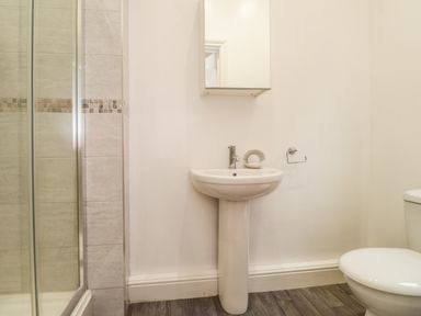 A bathroom with a shower, pedestal sink, wall mirror, and toilet at Sparrows Den Lodge Winchelsea Beach