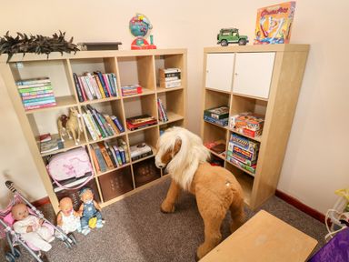 A playroom corner with shelves holding books games toys a large stuffed horse and dolls at Mountain Farm in Broad Haven