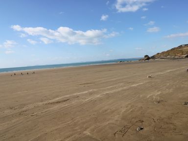 A wide sandy beach with a few people and a dog near the shoreline at Mountain Farm in Broad Haven