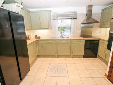 A kitchen with olive green cabinets a double sink black appliances and tiled floor at Mountain Farm in Broad Haven