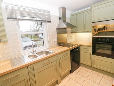 A kitchen with green cabinets a double sink electric stove oven and dishwasher at Mountain Farm in Broad Haven
