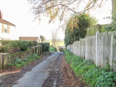A narrow country road with a brick wall and bushes on the left and a wooden fence with greenery on the right at Foundry Cottage in Reedham