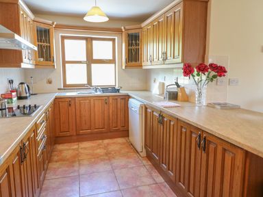 A kitchen with wooden cabinets a countertop dishwasher and flowers in a vase at Dooneen near Castletownshend County Cork