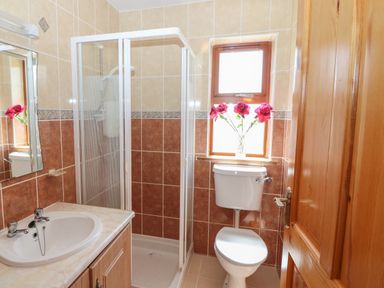 A bathroom with a shower enclosure a sink a toilet and a window with flowers in a vase at Dooneen near Castletownshend County Cork