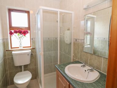 A bathroom with a toilet a glass shower enclosure a sink with double taps and a mirror at Dooneen near Castletownshend County Cork
