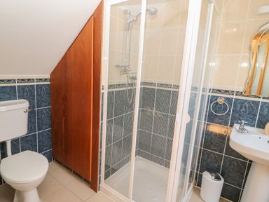 A bathroom with a toilet, shower enclosure, sink, and a wooden cabinet at Dooneen near Castletownshend, County Cork