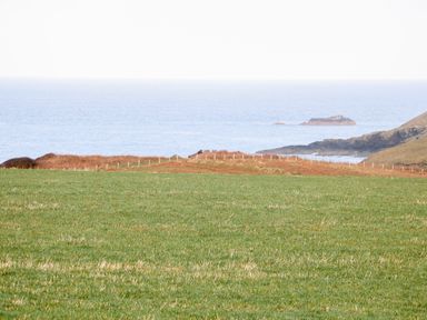 A grassy field with a coastline and ocean in the background at Bryn Eiddon in Aberdaron