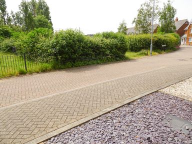 A paved road with a hedge and houses in the background at 5 Styleman Road in Hunstanton