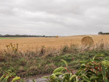 A field with hay bales and some plants in the foreground at 4 Country View Park in Graveney near Seasalter