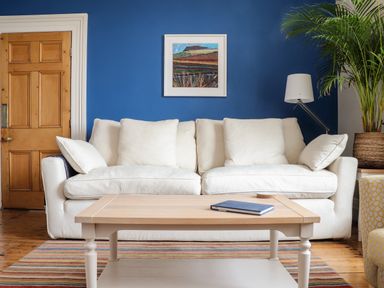 A white sofa with cushions in front of a blue wall with a framed picture a wooden door on the left a wooden coffee table with a book on it a plant in a basket and a floor lamp on the right at The Water House in Falmouth