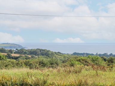 A coastal landscape with grassy fields trees and the sea in the background at Sebright in St Austell