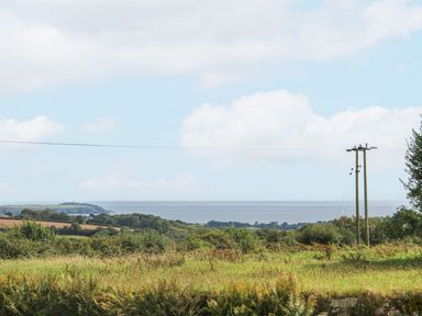 A rural landscape with fields trees power lines and a distant coastline at Sebright in St Austell