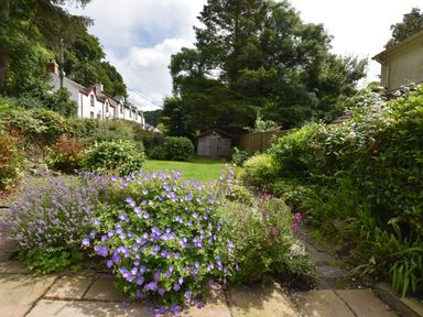 A garden with flowers bushes and a shed at Milkwood Cottage in Fishguard Pembrokeshire