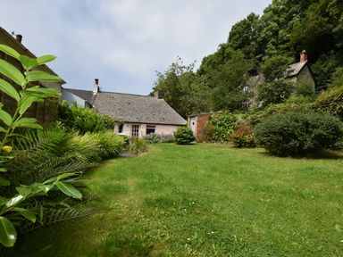 A garden with grass lawn shrubs and green plants in front of a small stone house at Milkwood Cottage in Fishguard Pembrokeshire