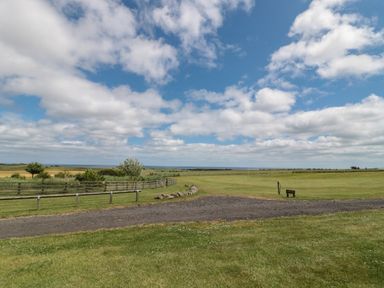 A gravel path between grassy fields with wooden fences and a cloudy sky at Stable D'or in Embleton