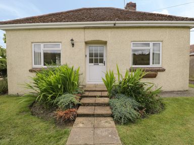 The front entrance of a single-story house with steps leading to a door and plants on both sides at Downs View in Norton Ferris